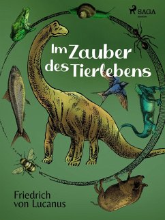 Cover Im Zauber des Tierlebens (eBook, ePUB)