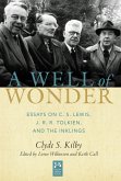 A Well of Wonder (eBook, ePUB)
