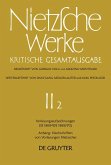 Vorlesungsaufzeichnungen (SS 1869 - WS 1869/70). Anhang: Nachschriften von Vorlesungen Nietzsches (eBook, PDF)