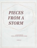 Pieces of a Storm (eBook, ePUB)