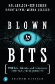 Blown to Bits (eBook, ePUB)