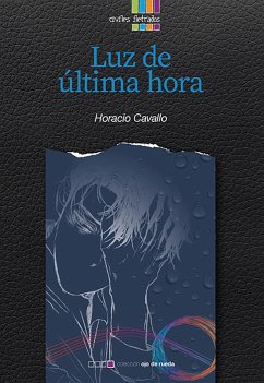 Cover Luz de última hora (eBook, ePUB)