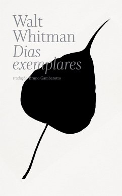 Cover Dias exemplares (eBook, ePUB)