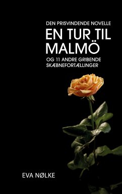 En tur til Malmö (eBook, ePUB)