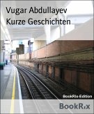 Kurze Geschichten (eBook, ePUB)