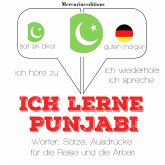 Ich lerne Punjabi (MP3-Download)