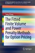 The Fitted Finite Volume and Power... - Bild 1