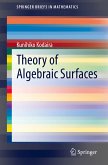 Theory of Algebraic Surfaces (eBook, PDF)