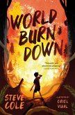 World Burn Down (eBook, ePUB)