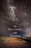The Meaning of Names (eBook, ePUB)