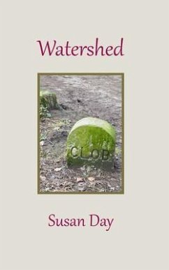 Watershed (eBook, ePUB) - Day, Susan
