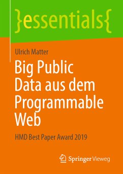 Big Public Data aus dem Programmable Web (eBook, PDF) - Matter, Ulrich