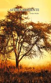 Afrika Momente (eBook, ePUB)