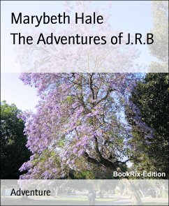 The Adventures of J.R.B (eBook, ePUB) - Hale, Marybeth