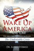 Wake Up America-or Die!: YOU Must Save America & the Family: The Undeniable Crisis