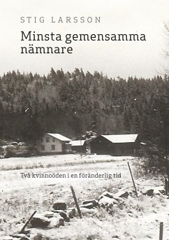 Minsta gemensamma nämnare - Larsson, Stig