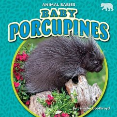 Baby Porcupines - Boothroyd, Jennifer