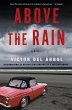 Above the Rain - Bild 1