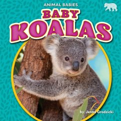 Cover Baby Koalas
