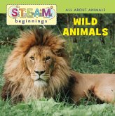 Wild Animals Wild Animals