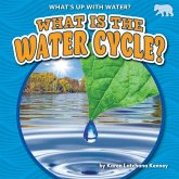 What Is the Water Cycle?