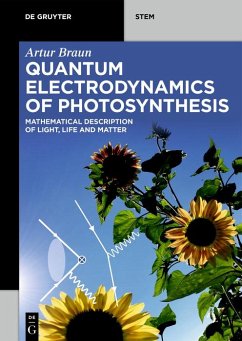 Cover Quantum Electrodynamics of Photosynthesis (eBook, ePUB)