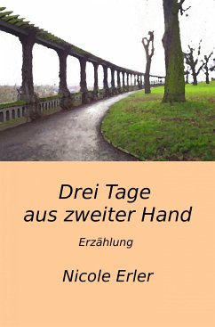 Drei Tage aus zweiter Hand (eBook, ePUB) - Erler, Nicole