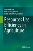 Resources Use Efficiency in Agriculture (eBook, PDF)