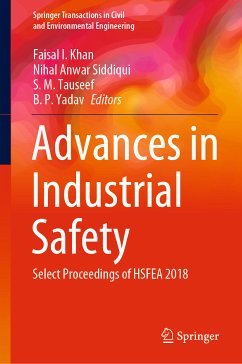 Advances in Industrial Safety (eBook, PDF)