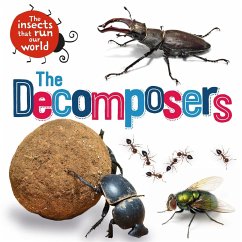 The Insects that Run Our World: The Decomposers - Ridley, Sarah