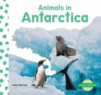 Animals in Antarctica Animals in Antarctica