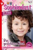 Sophienlust - Die nächste Generation 17 - Familienroman (eBook, ePUB)