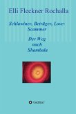 Schlawiner, Betrüger, Love-Scammer (eBook, ePUB)