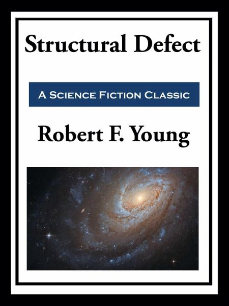 Structural Defect (eBook, ePUB)