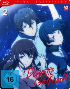 Domestic Girlfriend - Vol. 2