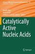 Catalytically Active Nucleic Acids - Bild 1