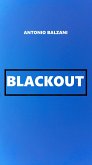 Blackout (eBook, ePUB)