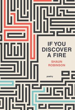 If You Discover a Fire (eBook, ePUB) - Robinson, Shaun