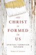Till Christ Is Formed in Us (eBook,... - Bild 1