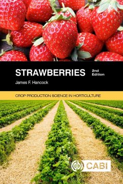 Strawberries (eBook, ePUB) - Hancock, James