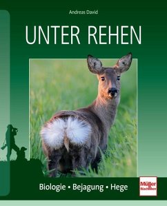 Unter Rehen (Mängelexemplar) - David, Andreas