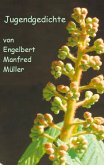 Jugendgedichte (eBook, ePUB)