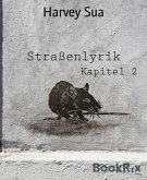 Straßenlyrik (eBook, ePUB)