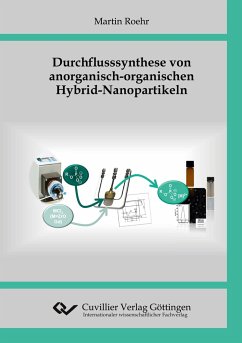 Durchflusssynthese von anorganisch-organischen Hybrid-Nanopartikeln - Roehr, Martin