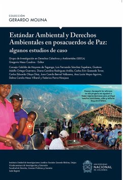 Cover Estándar ambiental y derechos ambientales en posacuerdos de paz : algunos estudios de caso (eBook, ePUB)