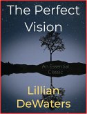 The Perfect Vision (eBook, ePUB)