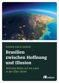 Brasilien zwischen Hoffnung und Illusion (eBook, PDF)