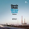 Streulicht (MP3-Download) - Bild 1