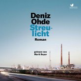 Streulicht (MP3-Download)