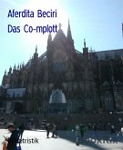 Das Co-mplott (eBook, ePUB)